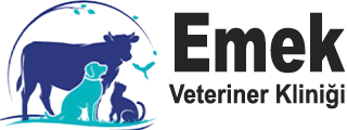 Temelli Emek Veteriner Kliniği